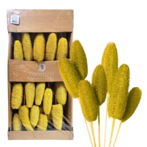 Suho cvetje Luffa na palčki RUMENA - 24 kom - MASTER BOX