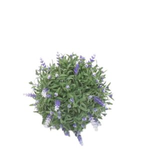 Lavanda krogla S - 15 cm