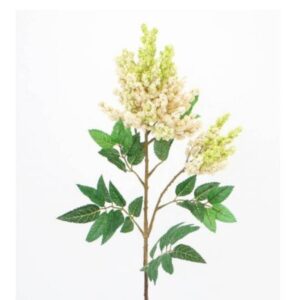 Umetna vejica astilba 237928